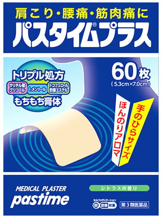 パスタイムプラス