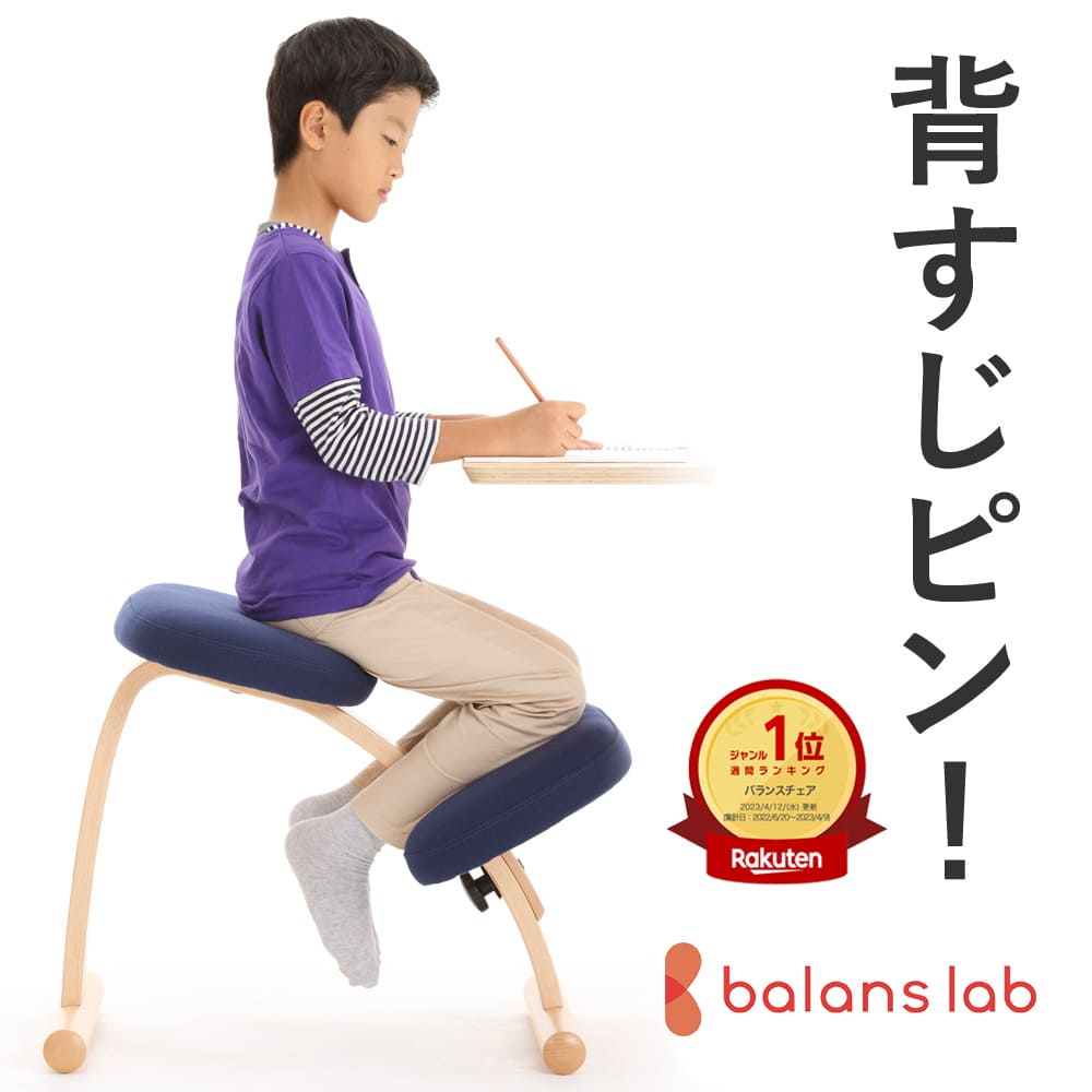 バランスイージー 類似品