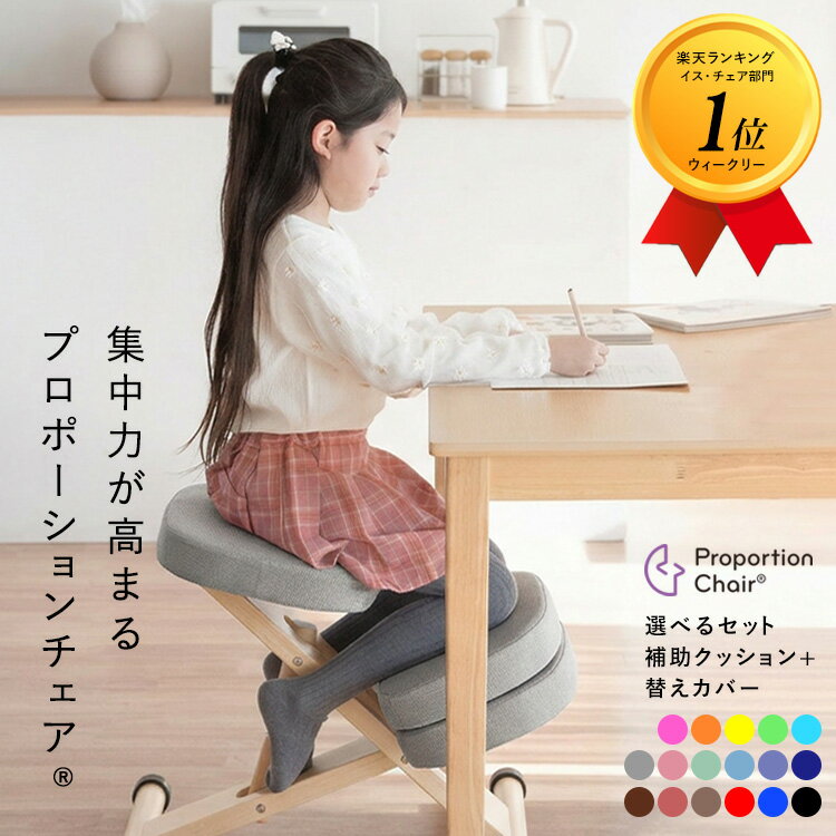 ①宮武製作所 プロポーションチェア